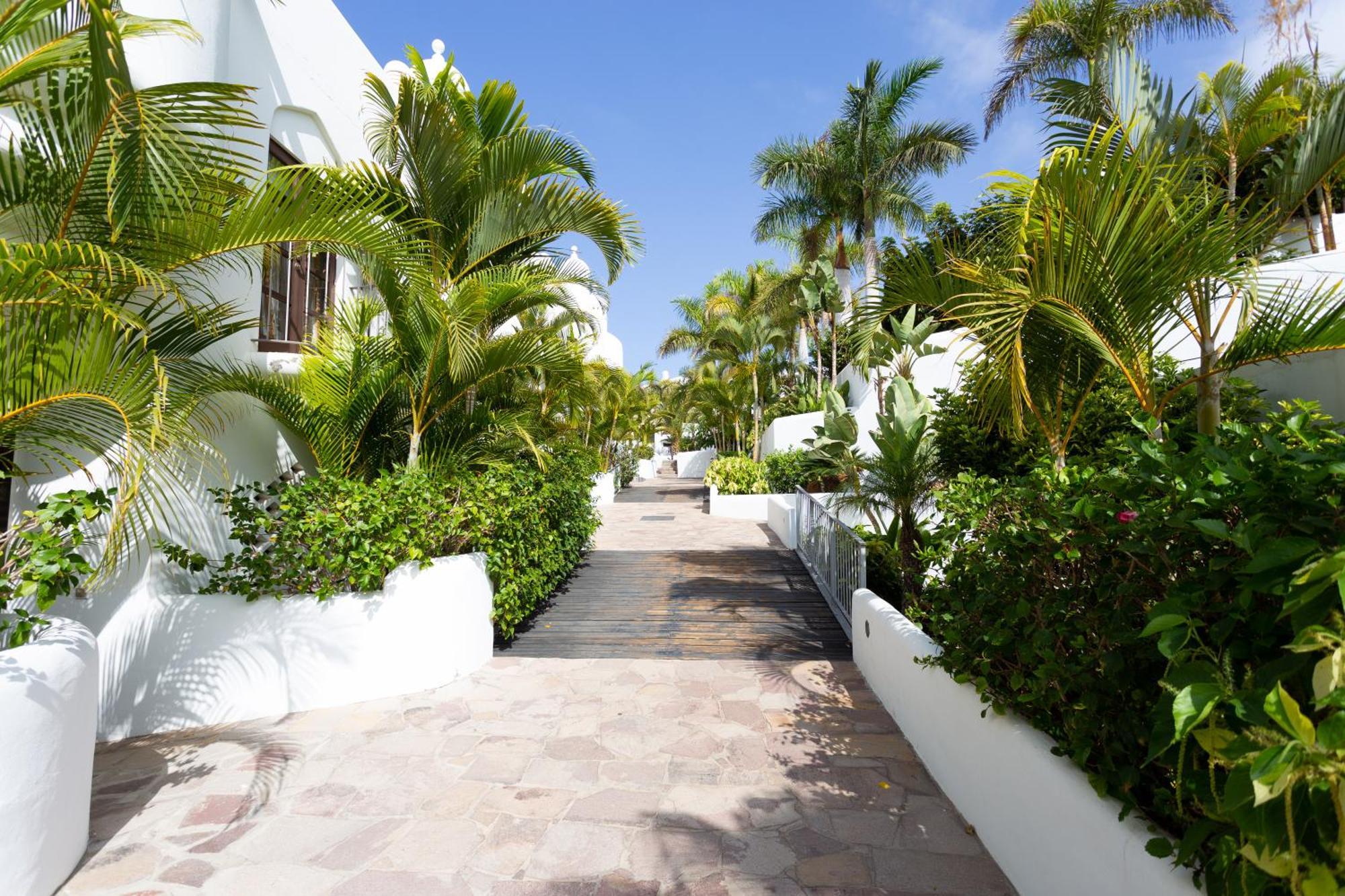 Paradise Homes Tenerife 帕莱索海滩 外观 照片